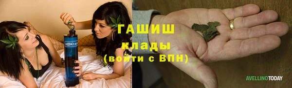 PSILOCYBIN Богданович