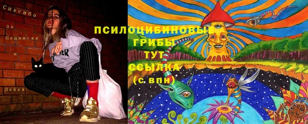 марки lsd Богородицк