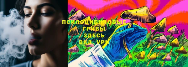 PSILOCYBIN Богданович
