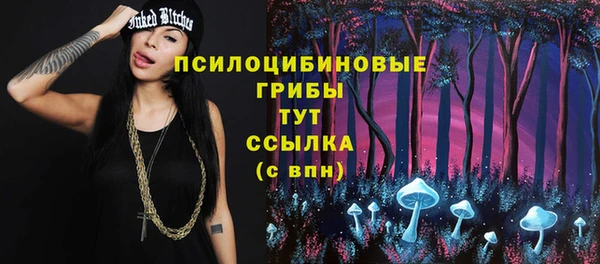 PSILOCYBIN Богданович