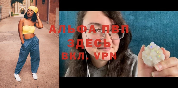 PSILOCYBIN Богданович