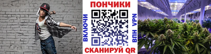 дарк нет клад  Торопец  Каннабис семена 